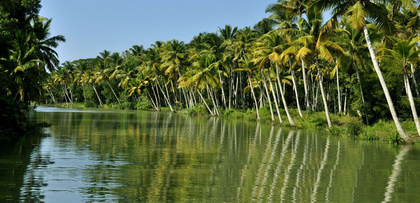 Backwater Cruise