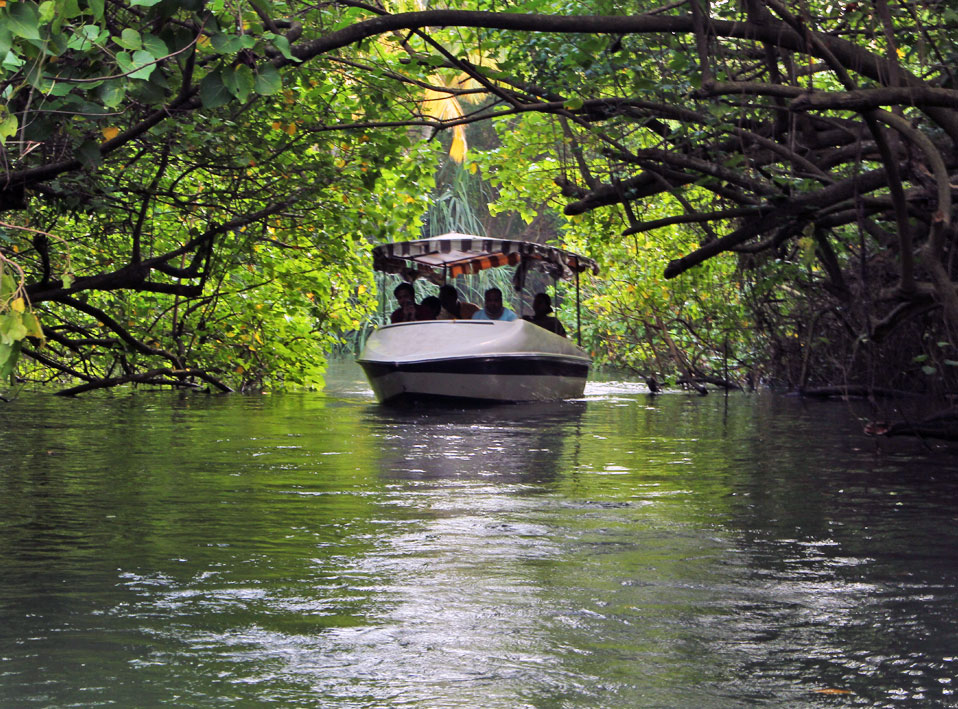 Backwater Boat Service, Hotel Geethu International